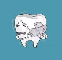 ��������������ϰ�ߵĹ�ϵ